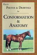 Equine Photos & Drawings for Conformation & Anatomy