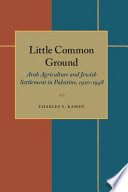 Little Common Ground Book PDF