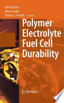 Polymer Electrolyte Fuel Cell Durability Book