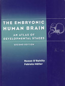 The Embryonic Human Brain