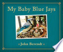 My Baby Blue Jays