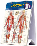 Anatomy Easel Book Book