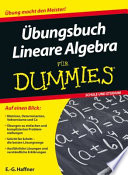 Übungsbuch Lineare Algebra für Dummies