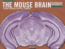 Paxinos and Franklin s the Mouse Brain in Stereotaxic Coordinates Book