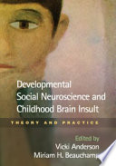 Developmental Social Neuroscience and Childhood Brain Insult Book