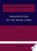 Organization of the Spinal Cord