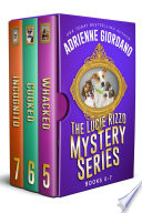 Lucie Rizzo Mystery Series Box Set 2