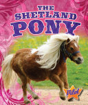 Shetland Pony, The