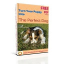 Turn Your Puppy Into The Perfect Dog