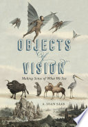 Objects of Vision