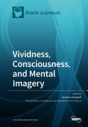 Vividness, Consciousness, and Mental Imagery