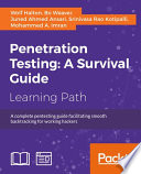 Penetration Testing  A Survival Guide Book