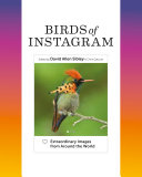 Read Pdf Birds of Instagram