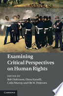 Examining Critical Perspectives on Human Rights Book
