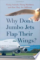 Why Don t Jumbo Jets Flap Their Wings 
