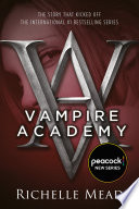 Vampire Academy image