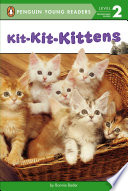 Kit Kit Kittens Book