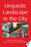 Linguistic Landscape in the City Book PDF