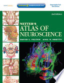 Netter s Atlas of Neuroscience E Book