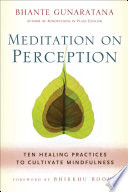 Meditation on Perception Book