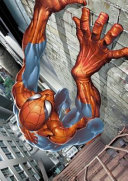 Ultimate Spider Man Omnibus  