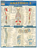 Anatomy 2   Reference Guide  8  5 X 11  Book