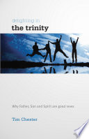 Delighting in the Trinity Book