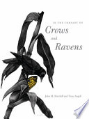 In the Company of Crows and Ravens Book PDF