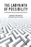 The Labyrinth of Possibility