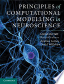 Principles of Computational Modelling in Neuroscience Book PDF