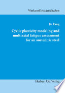 Cyclic plasticity modeling and multiaxial fatigue assessment for an austenitic steel Book