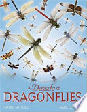 A Dazzle Of Dragonflies