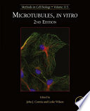 Microtubules  in vitro
