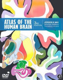 Atlas Of The Human Brain