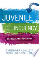 Juvenile Delinquency Book PDF