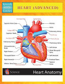 Heart  Advanced   Speedy Study Guides  Book