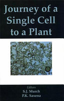 Journey of a Single Cell to a Plant