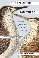 The Eye of the Sandpiper