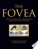 FOVEA : structure, function, development, and tractional disorders /