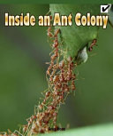 Read Pdf Inside an Ant Colony