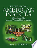 American Insects Book