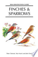 Finches and Sparrows