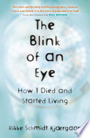The Blink of an Eye Book