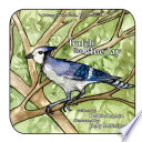 Butch the Blue Jay