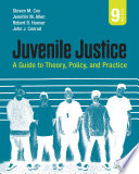 Juvenile Justice PDF Book By Steven M. Cox,Jennifer M. Allen,Robert D. Hanser