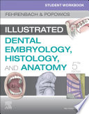 Student Workbook for Illustrated Dental Embryology  Histology and Anatomy E Book