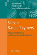 Silicon Based Polymers