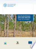 Multilocational dryland species trial in Uganda