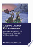 Adaptive Disaster Risk Assessment