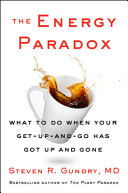 The Energy Paradox Book